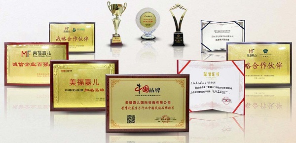 美福嘉兒資質(zhì)