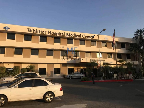 美國第三代試管嬰兒