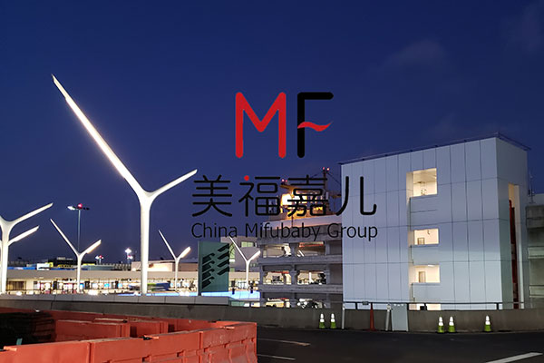 赴美生子嚴(yán)嗎