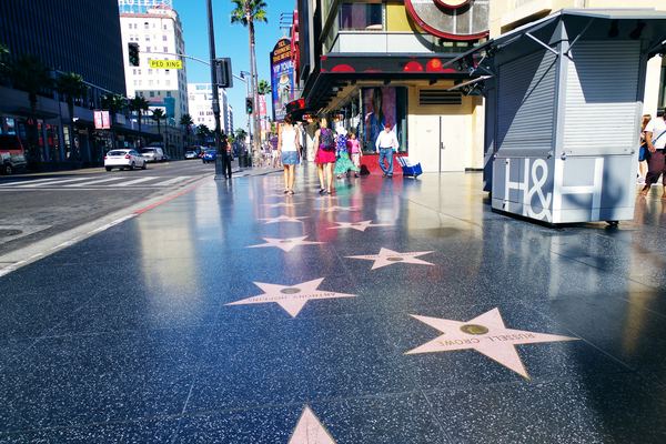 赴洛杉磯生子,為什么赴洛杉磯生子,赴洛杉磯生子優(yōu)勢
