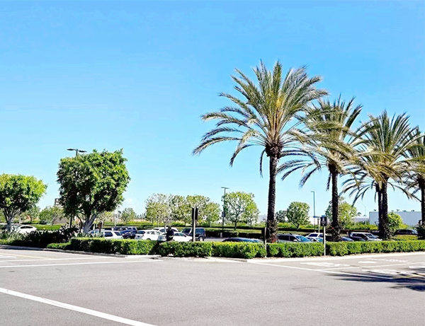 去洛杉磯生子的諸多好處 